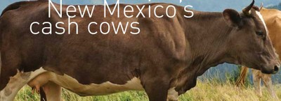 NM's Cash Cows